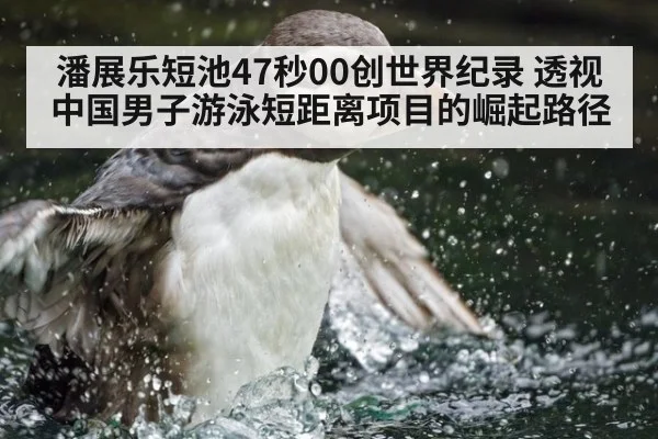 潘展乐短池47秒00创世界纪录 透视中国男子游泳短距离项目的崛起路径
